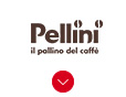 Pellini