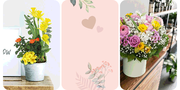 Collection fête des grands-mères